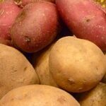 Kartoffeln, gelb und rot