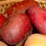Rote Kartoffeln